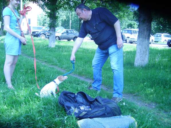 Дрессировка собак у зоопсихолога в Москве фото 4