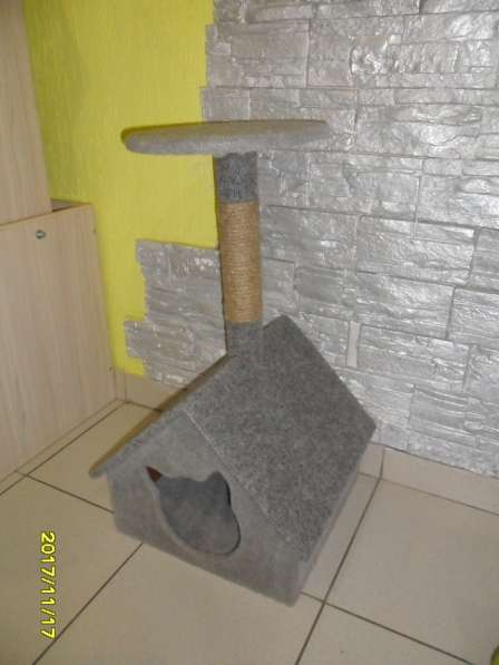 Домик-будка для кошек в Волгограде фото 3
