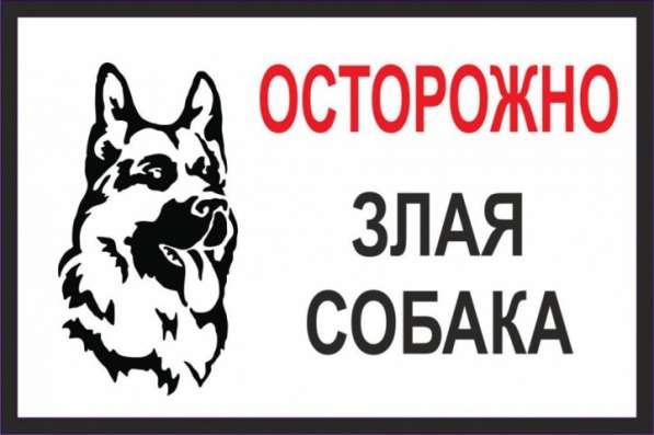 Возьму ЗЛУЮ собаку для охраны автостоянки в Хабаровске