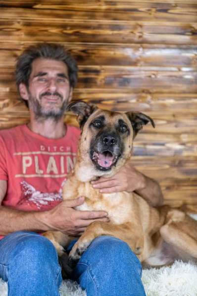 Славный богатырь Норд Батькович ищет дом в Москве фото 7