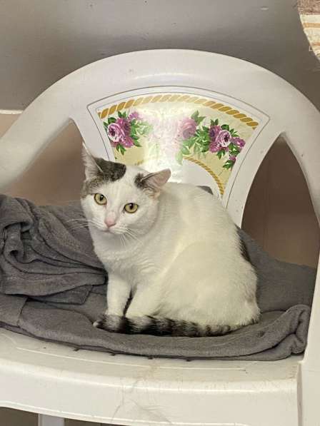 Ищет Дом в Вологде фото 4