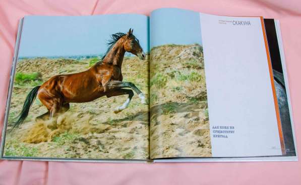 Книга-альбом про Ахалтекинцев, лошади, Туркмения в Москве фото 3