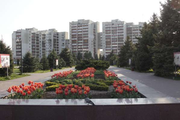 Услуги агента по недвижимости Евпатория в Евпатории фото 4