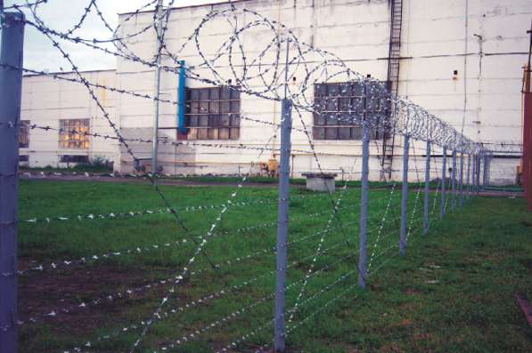 Колючая проволока Егоза. Монтаж, продажа в Москве фото 25