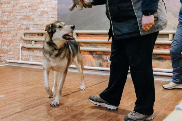 Нежнющий Купер в Москве фото 33