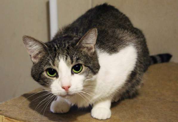 Скромный Гарри в поисках уютного дома в Москве