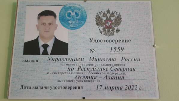 Адвокат по уголовным делам, более 20 лет стажа