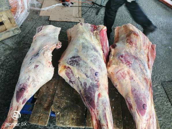 Мясо говядина в Челябинске