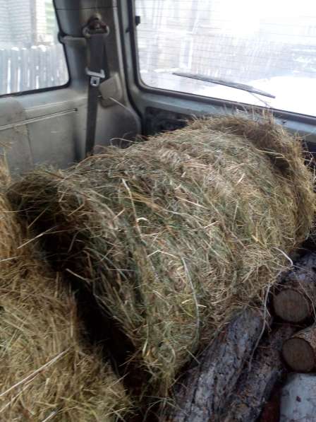 Продаю сено в рулонах по 20-25 кг в Улан-Удэ фото 3