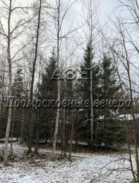 realty_mapper3.plot_in_locationСадовое некоммерческое тов-во. Площадь 20.00 сот.Есть Электричество. в Москве