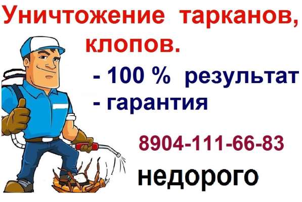 Травим тараканов, клопов, блох