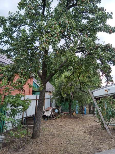 Продам дом с участком в г. Шахты Ростовской области в Шахтах фото 3