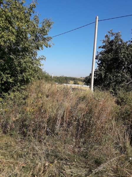 Продам земельный участок под ИЖС д. Пашково, Курский район в Курске фото 3
