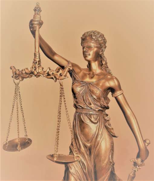 Адвокат по кредитным спорам и банкротству в Москве фото 6