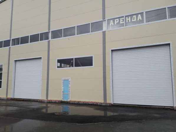 Сдам новое производство-склад от 1200 кв.м. в Приморском р-н в Санкт-Петербурге