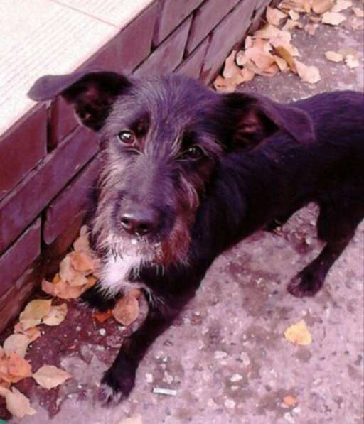 В надежные руки