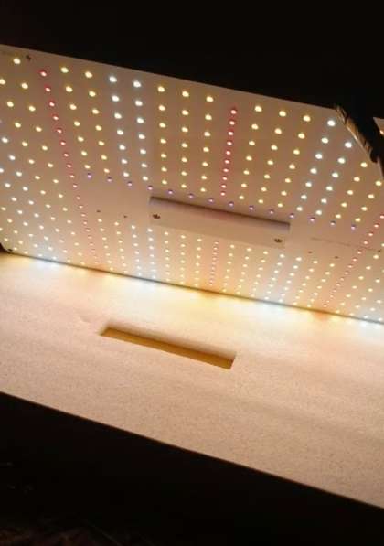 Фитолампы Samsung Qvantum Bord в Краснодаре