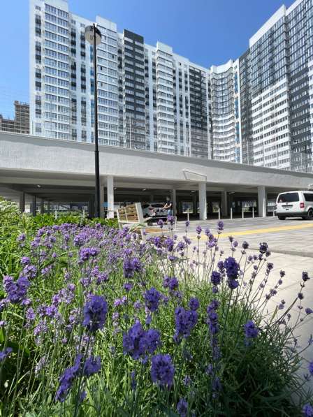 Срочная продажа. Новый монолитный комплекс в Новороссийске фото 4