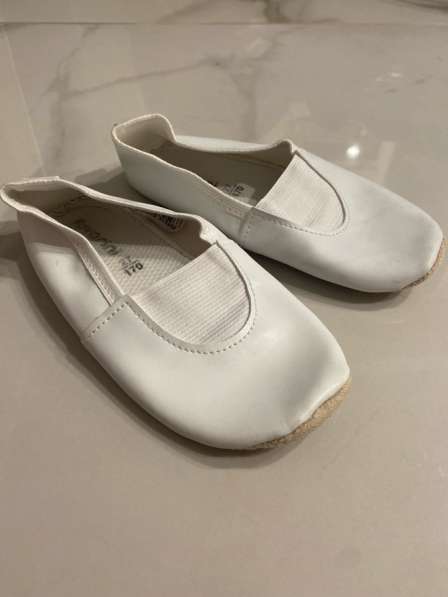 Чешки в Сыктывкаре