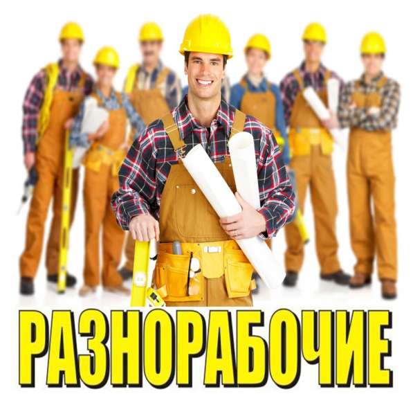 Разнорабочие и Специалисты