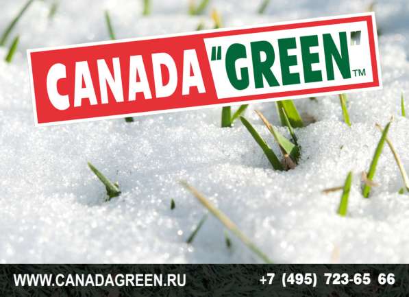 Газонные травосмеси канадагрин в Москве фото 6