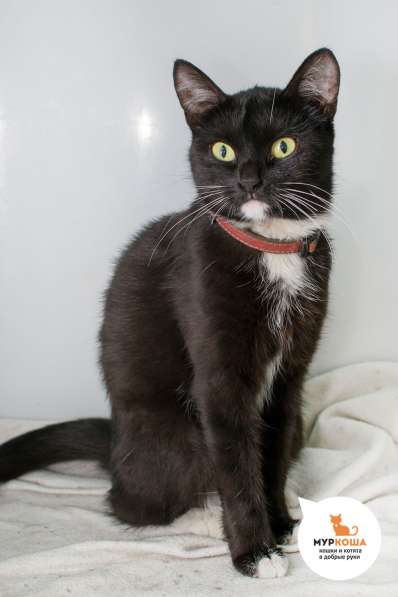 Мадонна - грациозное произведение искусства