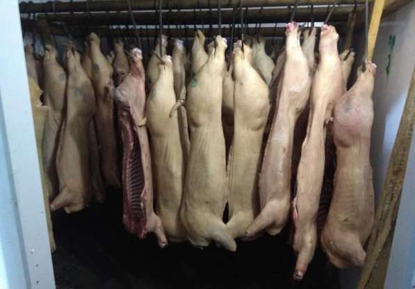 Мясо свинина говядина баранина курятина розница опт в Казани фото 8