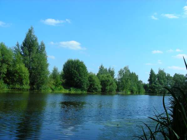 Правильный участок у леса, 15 км в Москве