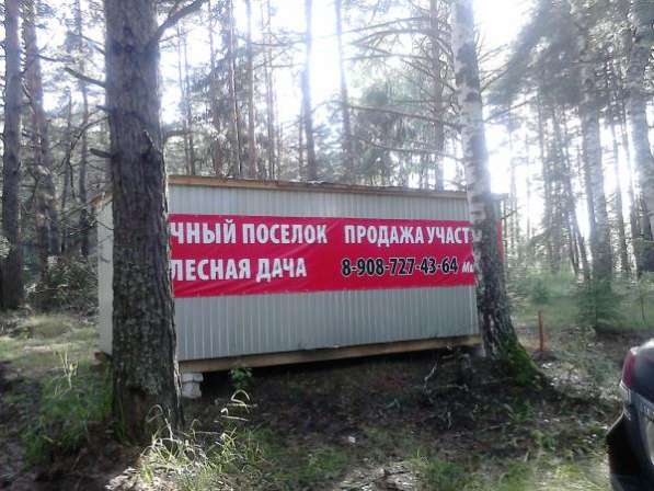 Настоящий Русский Лес, участки со своим лесом в заповедном крае в Нижнем Новгороде фото 6