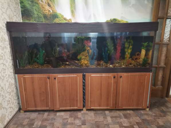 СРОЧНО продам аквариум в фото 7