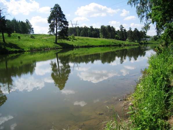Дача, рядом лес, пруд для купания и рыбалки, Дешево в Серпухове фото 8