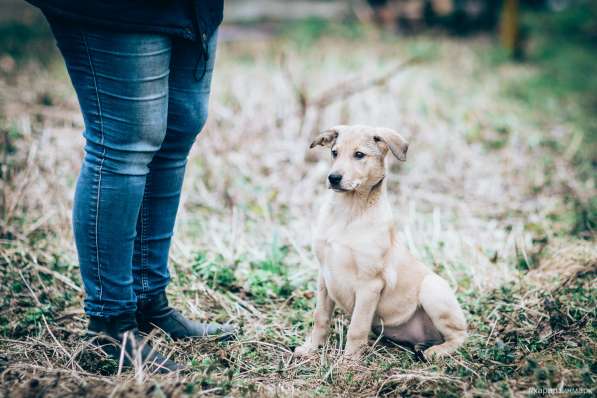 Великолепная Четверка в дар в Москве фото 27