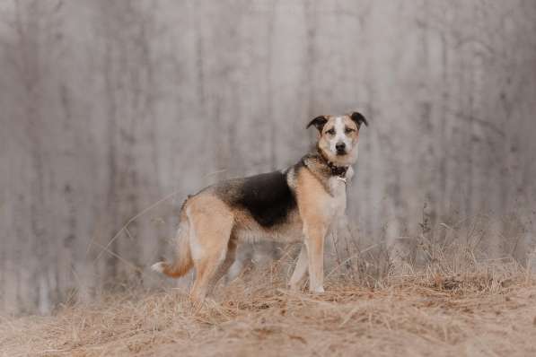 Молодой энергичный Майор ищет семью в Москве фото 65