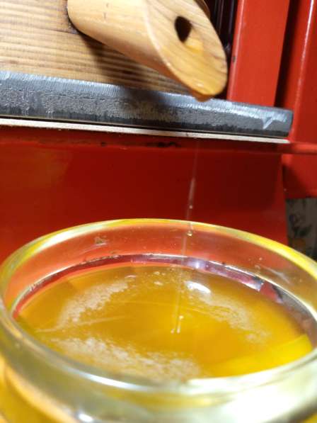 Масло Льняное Живое Сыродавленное Холодного отжима Нерафинир в фото 4