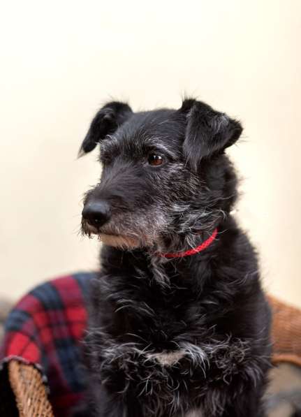 Лиза едет в загородный дом в Москве фото 3