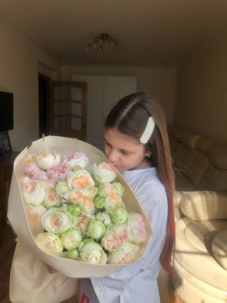 Выгул собак и кошек