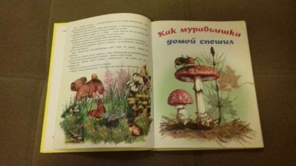 Сказки Бианки в Екатеринбурге фото 9