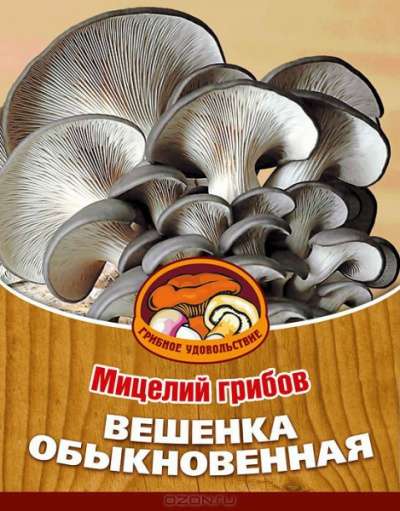 Мицелий (семена) вешенки. Простой в выращивании гриб в Иркутске