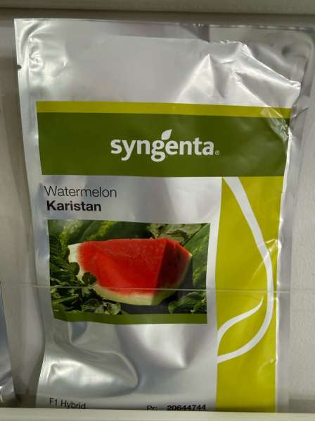 Каристан сингента