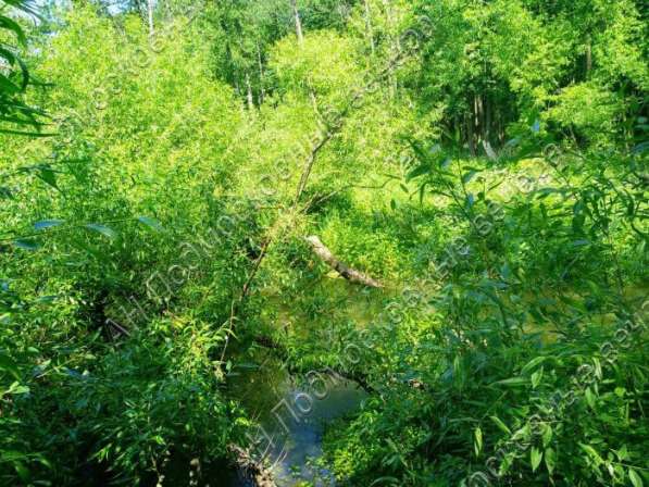 realty_mapper3.plot_in_locationИндивидуальное жилищное ст-во. Площадь 30.00 сот.Есть Электричество. в Москве фото 22