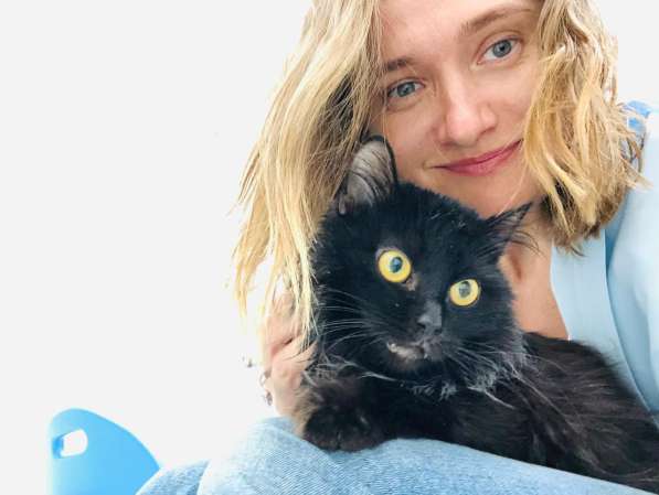 Красавец Пастернак ищет дом в Москве фото 14