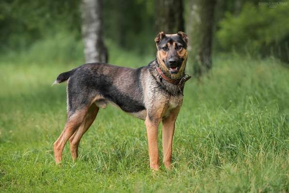 Брюс ищет семью в Москве фото 16