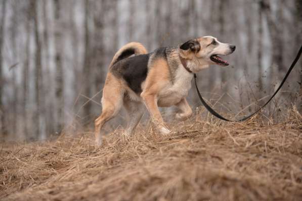Молодой энергичный Майор ищет семью в Москве фото 58