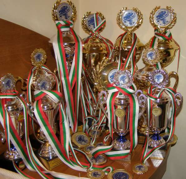 Английский сеттер щенки из элитного питомника в Москве фото 117