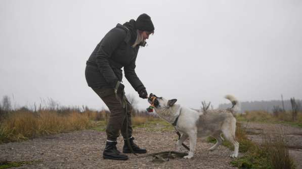 Суперактивная Халва в Москве фото 50