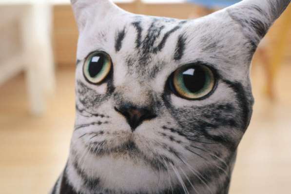 Подушка - игрушка 3D британская кошка в Москве