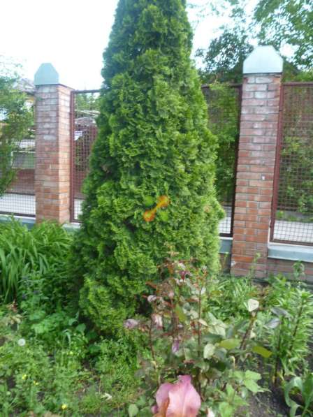 Продам дом в Ростов-на-Дону.Жилая площадь 208 кв.м. в Ростове-на-Дону фото 60