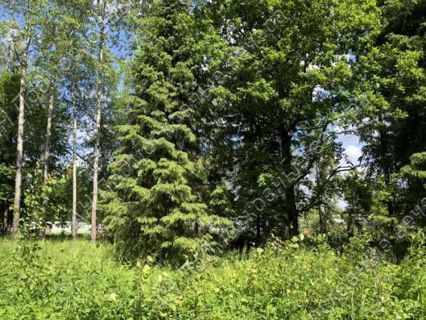 realty_mapper3.plot_in_locationПлощадь 42.00 сот.Есть Газ, Водопровод. в Москве фото 3