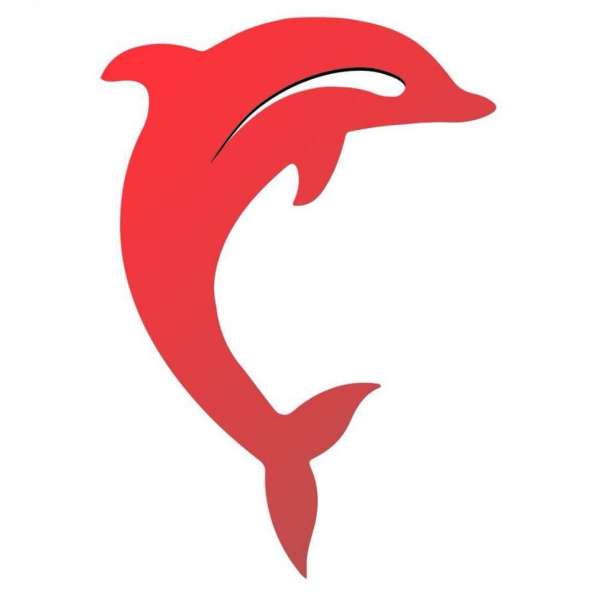 Услуги Пекинской Консалтинговой Компании «Red Dolphin» в фото 4