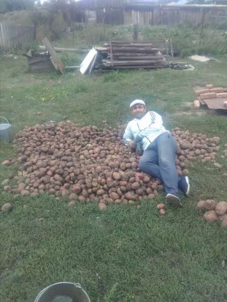 Муж на час в Барнауле фото 4